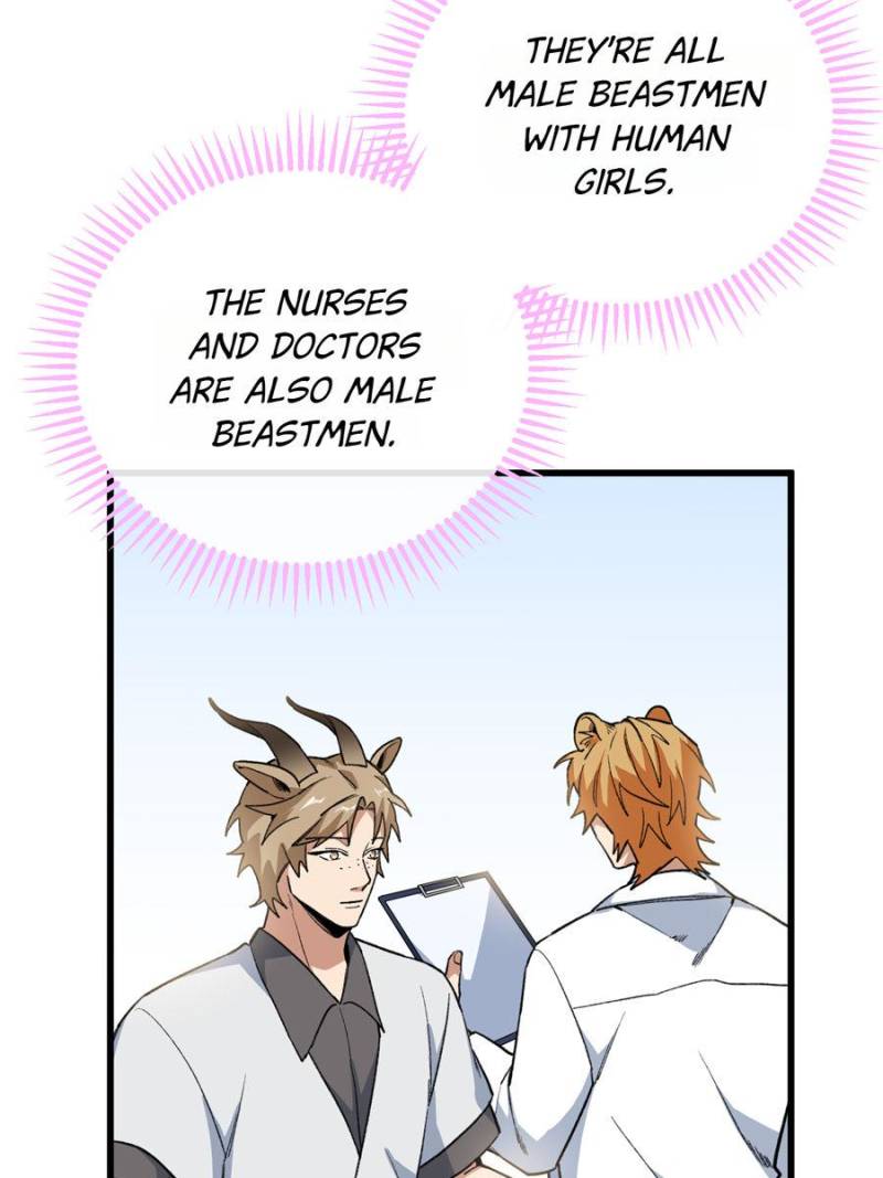 80990438 800 1067 69499